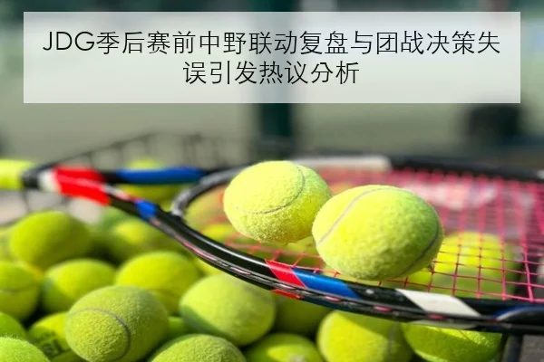 JDG季后赛前中野联动复盘与团战决策失误引发热议分析